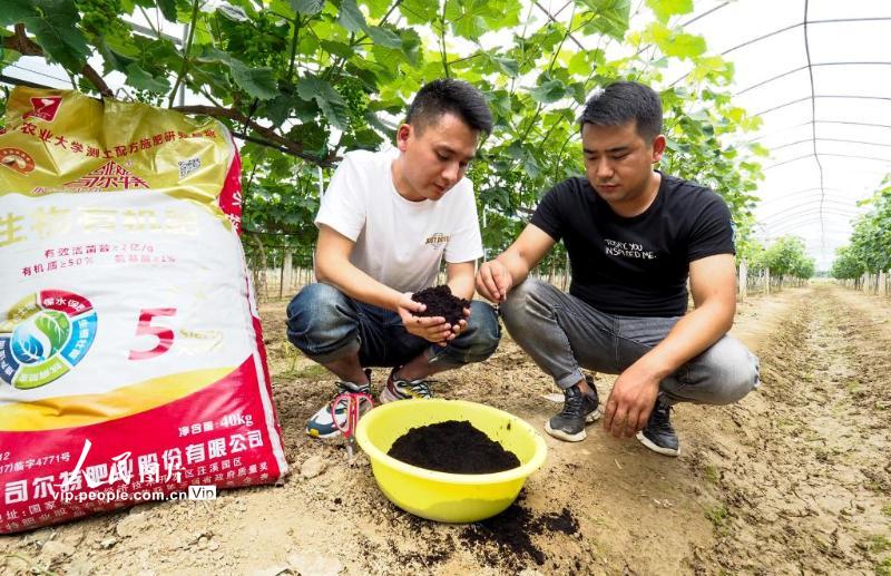 6月5日，安徽宁国市,农技人员教授果农正确使用有机肥。